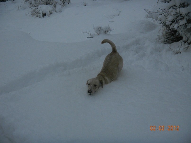 Татьяна Ефимова | 