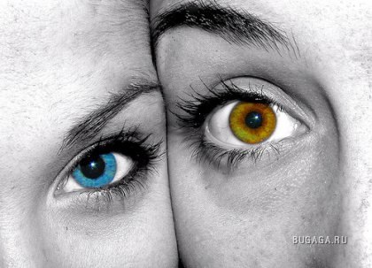 Макс Сипливый | 