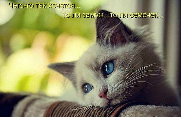Надежда Аврошко | Киев