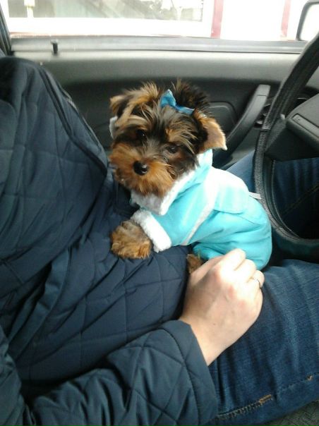 №16, Евгения Зарипова, Казань №16, Евгения Зарипова, Казань