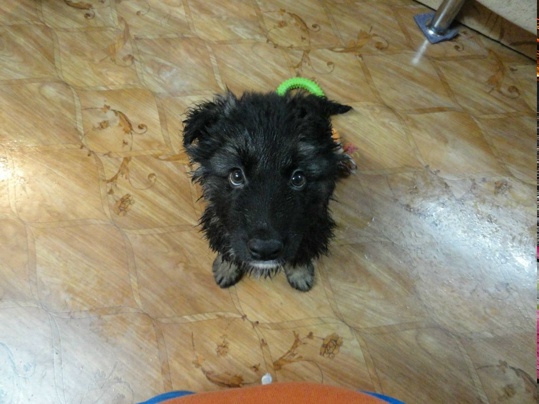 Ольга Гапоненко | Кемерово