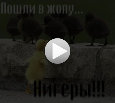 Зина Любавичева ★Number-one★ | Коряжма
