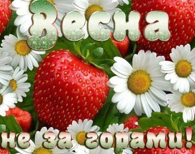 Наталья Домашонкина | Иркутск