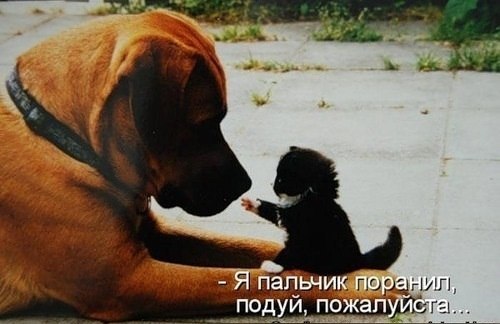 №3, Влад Шейко, 46 лет, Днепр (Днепропетровск) №3, Влад Шейко, 46 лет, Днепр (Днепропетровск)