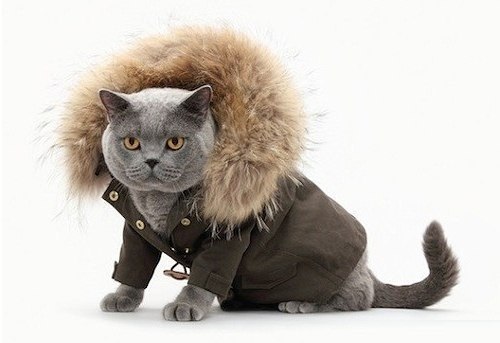 Евгений Сыч | 