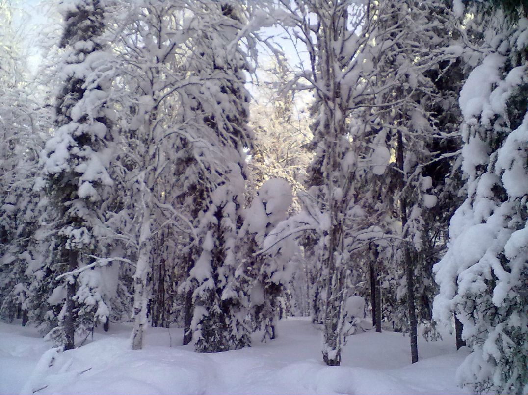 Андрей Кисляков | Ухта