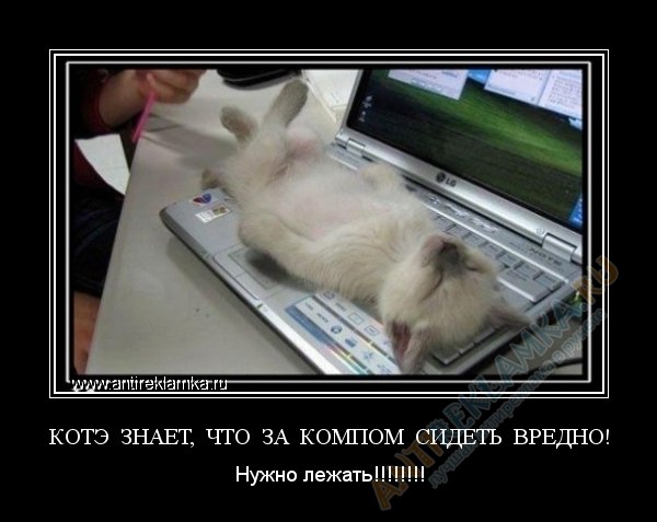 Katrin Pozdneeva | Совхоза «Россия»