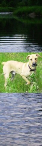 Илья Винеров | Санкт-Петербург