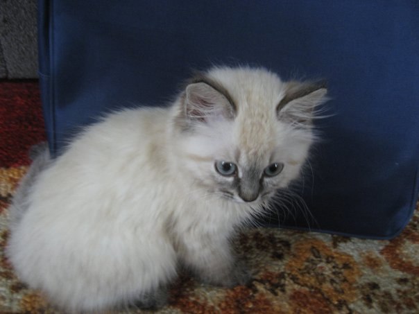 Дарья Виноградова | Санкт-Петербург