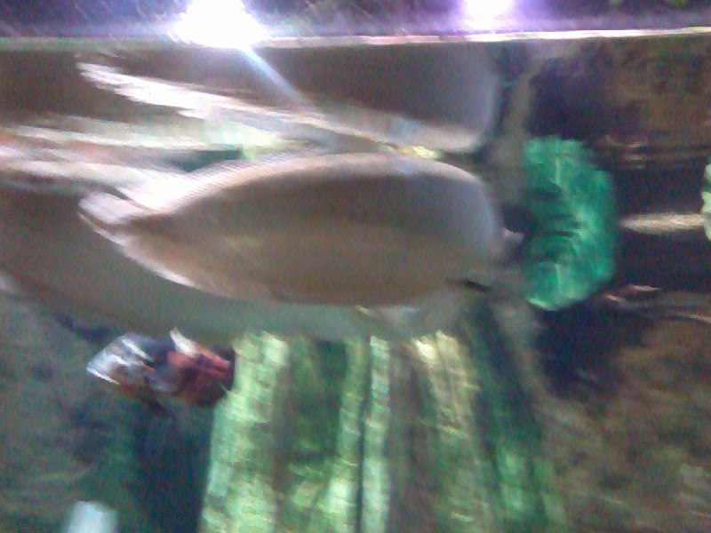 Татьяна Баранова | Санкт-Петербург