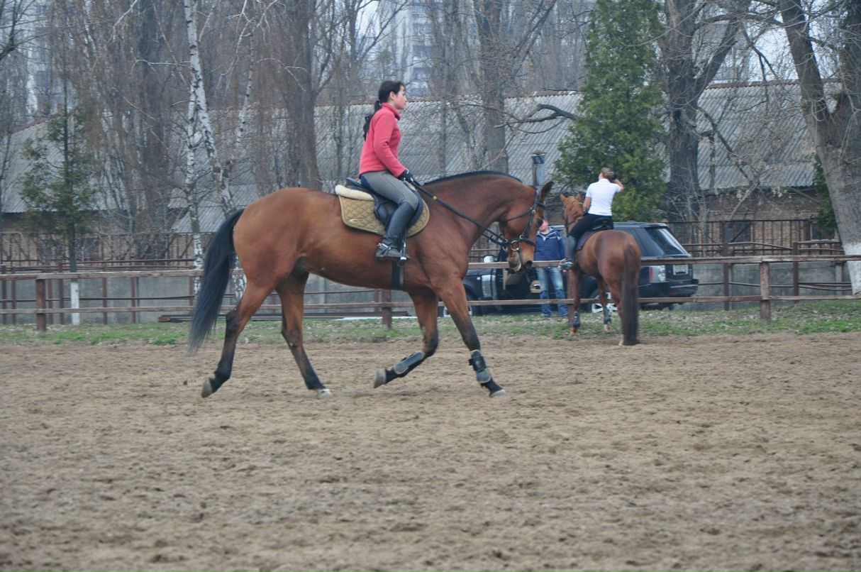 Olja Noname | Киев