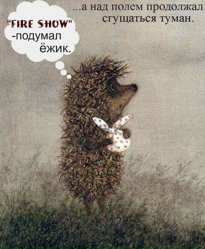 Николай Шалин | Санкт-Петербург