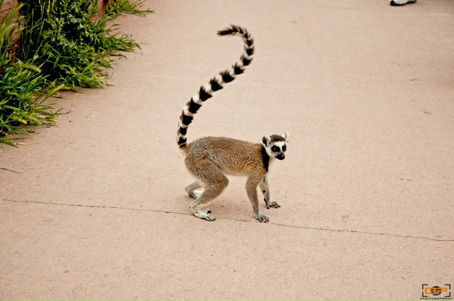 №3, George Pozidis №3, George Pozidis