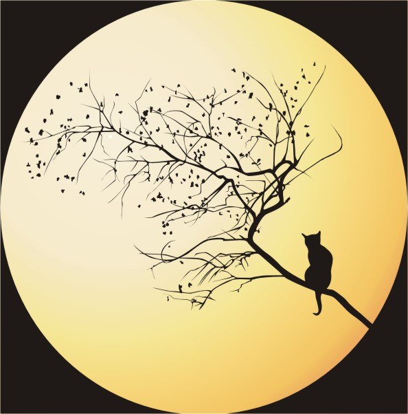 Анна Семёнова | Санкт-Петербург