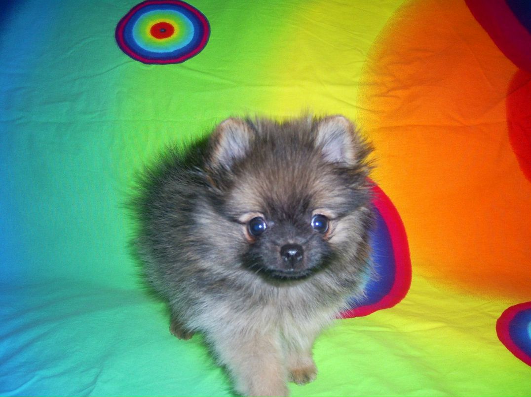 Алиса Парамохина | Москва