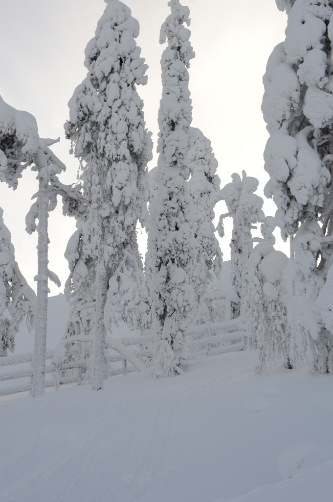 Вова Галайко | Москва