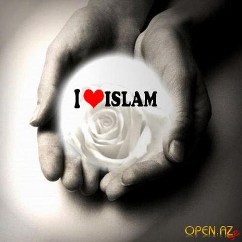 №1, Rafik Mal'kov №1, Rafik Mal'kov