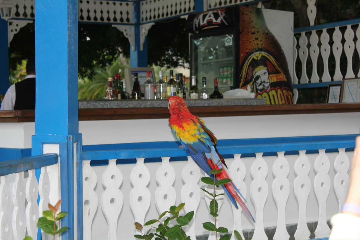 Серёга Дмитрук | Тюмень