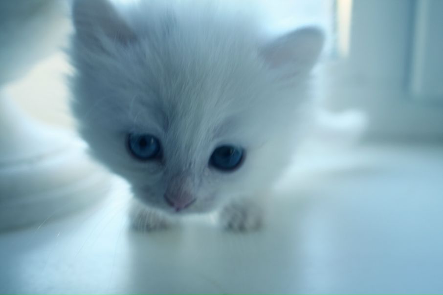 №106, Александра Лисина, 37 лет, Сочи, Россия №106, Александра Лисина, 37 лет, Сочи, Россия