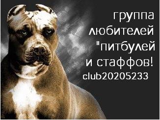 №4, Змей Хулиган №4, Змей Хулиган