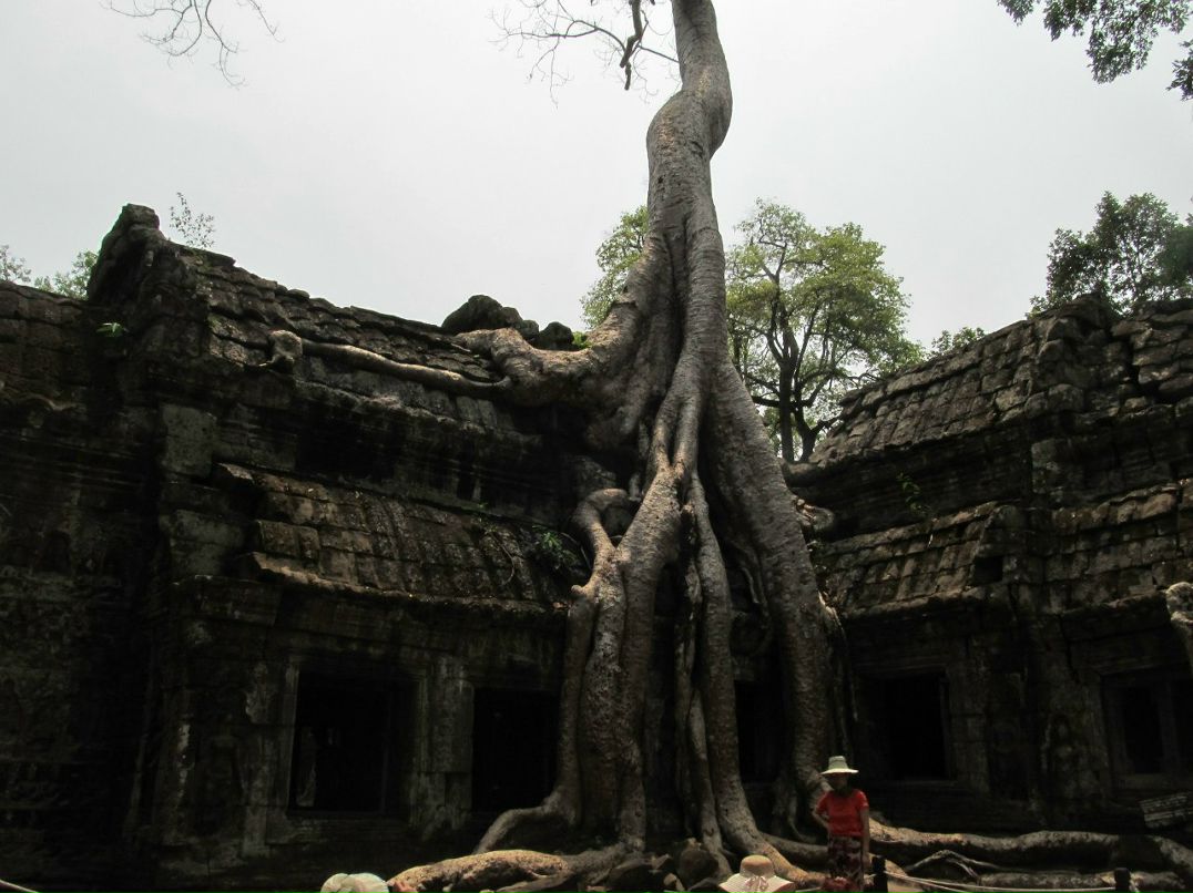 Денис Игнатьев | Санкт-Петербург