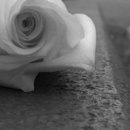 №34, Лильмо Хайбех, Луганск №34, Лильмо Хайбех, Луганск