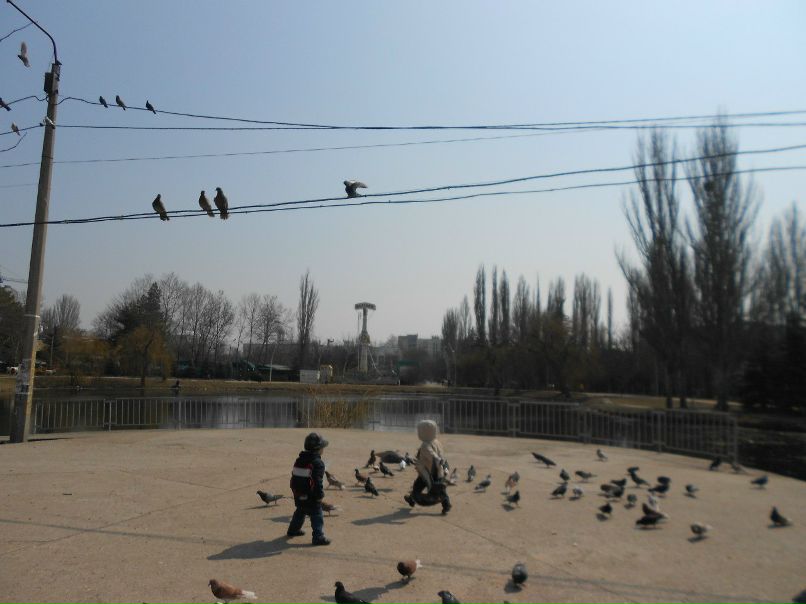 Фериде Курбанова | Симферополь