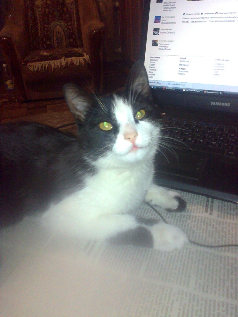 Ольга Сабашкова | Брянка