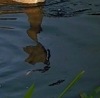 №11 Настя Кондратьева 11.02.2001: профиль, фото, статус - ВКонтакте