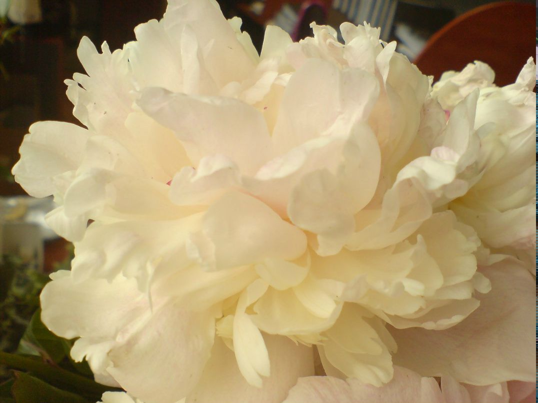 Ирина Новикова | Санкт-Петербург