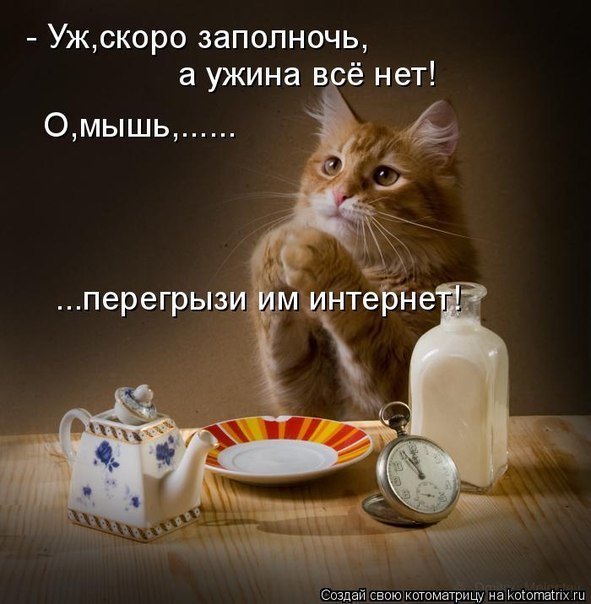 Зоя Карпычева фотография #1