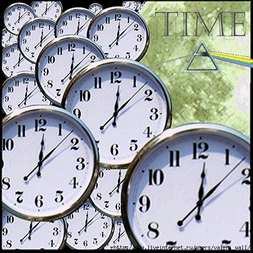 Дмитрий Бричевский | Мытищи