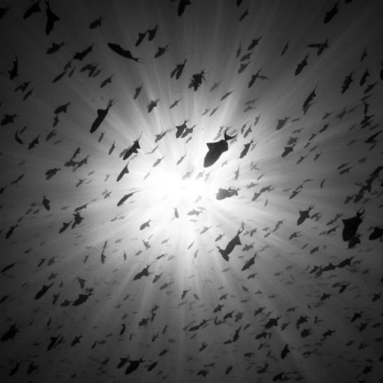 №10, Віталій Ярошенко №10, Віталій Ярошенко