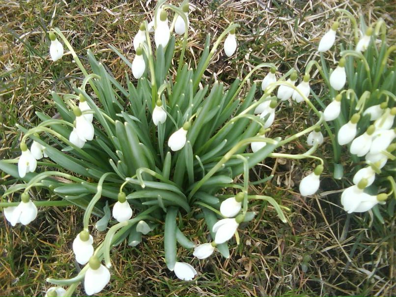 Нелли Яковлева | Санкт-Петербург