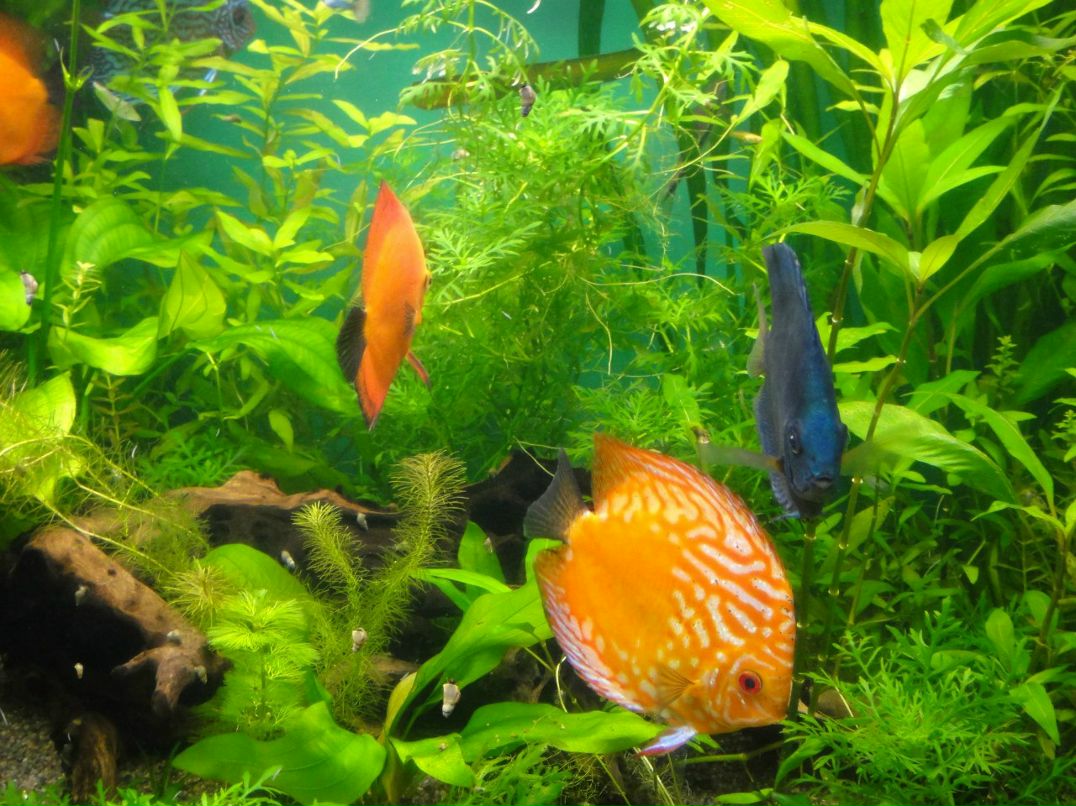 Андрей Рудаков | Санкт-Петербург