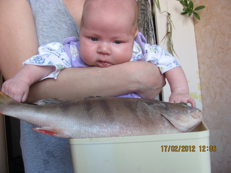 Николай Толмачёв | Пермь