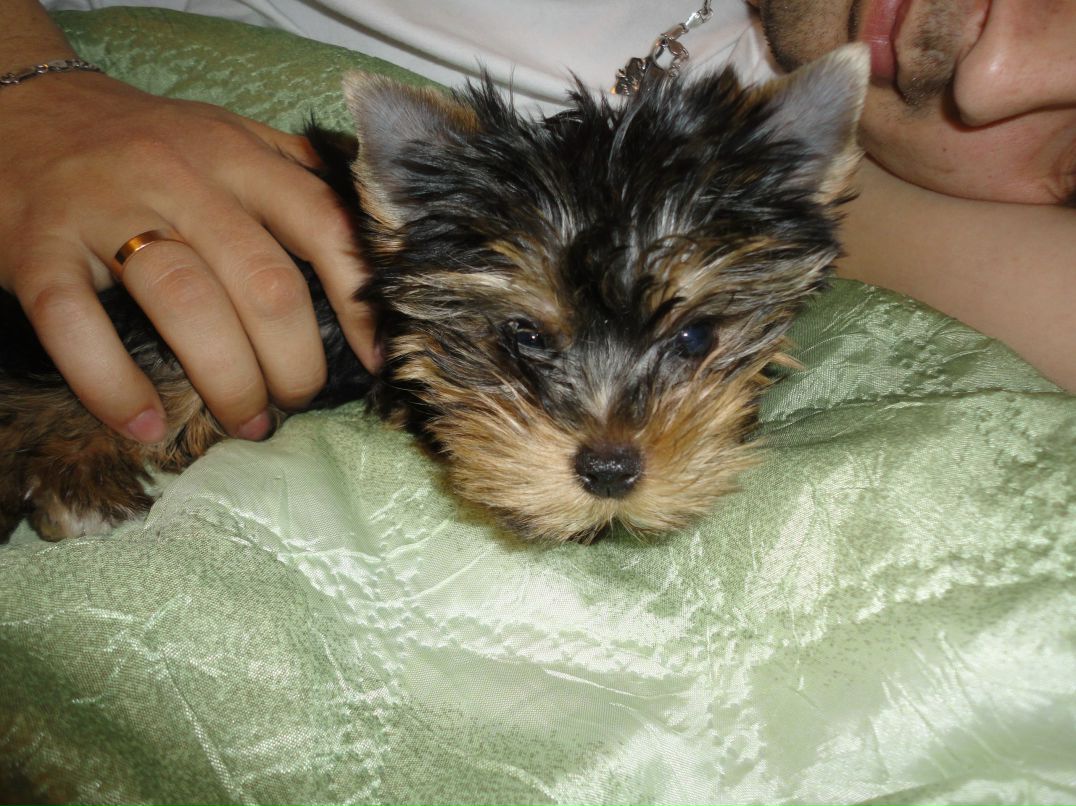 Элла Сушицкая | Минск