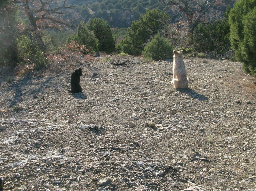 Петр Чебадухин | Москва