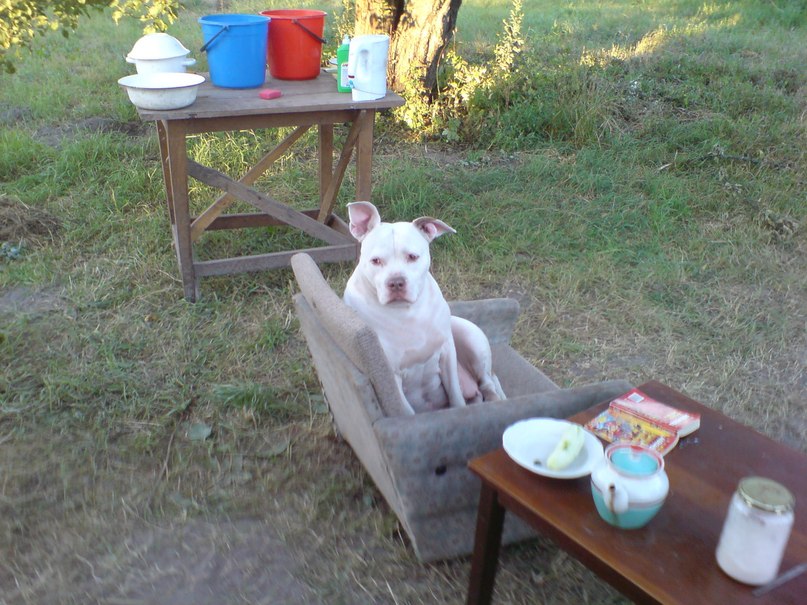 Жека Раджабов | Киев