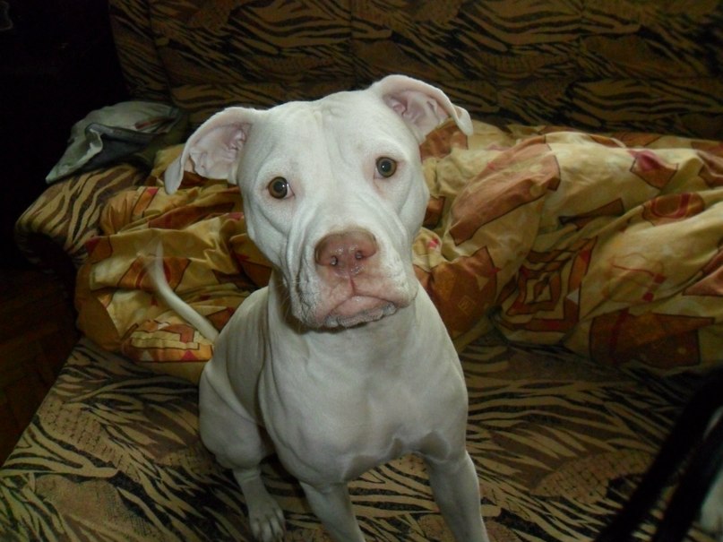 Жека Раджабов | Киев