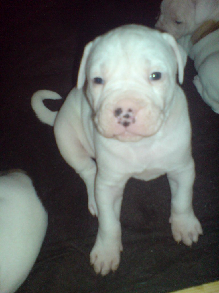 Жека Раджабов | Киев