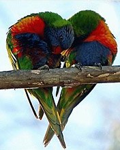 №98, Анастасия Фурсова, 26 лет №98, Анастасия Фурсова, 26 лет