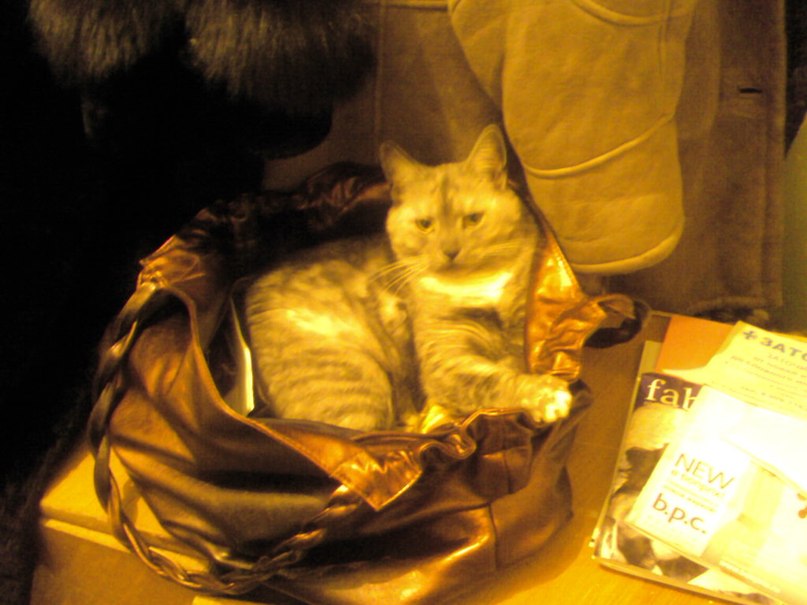 Екатерина Блинова | Москва