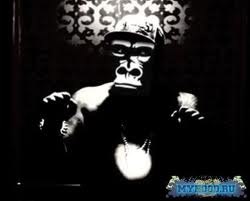 Владимир Гречкин | 