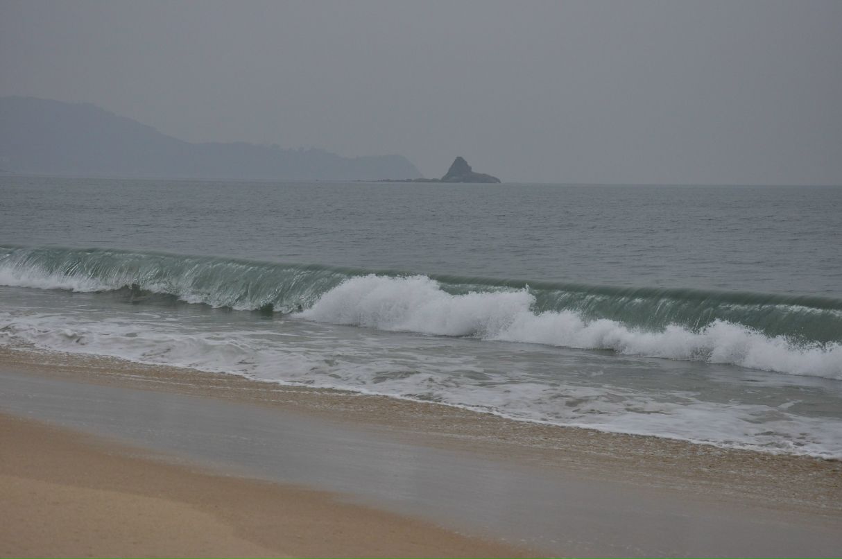 Ежевика Василькова | Тюмень