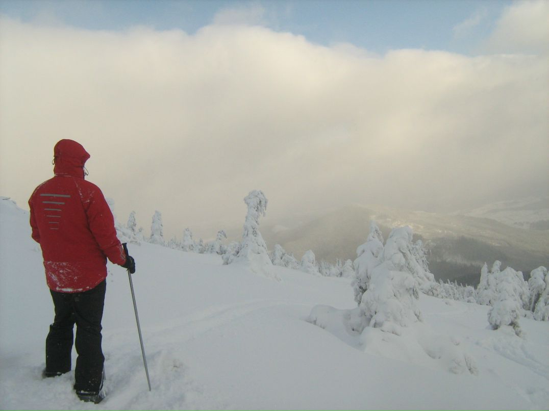 Василий Бескоровайный DOC | 