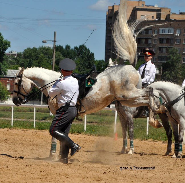 Артем Карпов | Москва