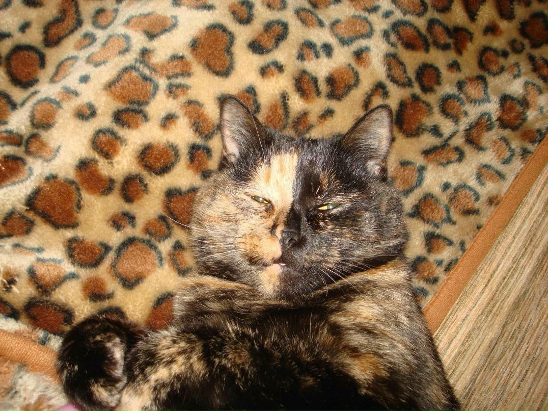 Ирина Валеева | Южно-Сахалинск