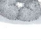 Елена Потапова | Астрахань