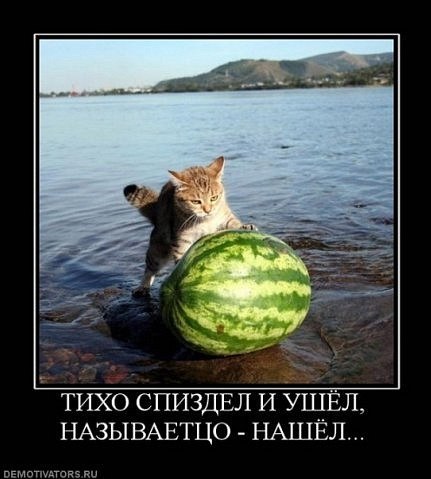 Дарья Копаница | Москва